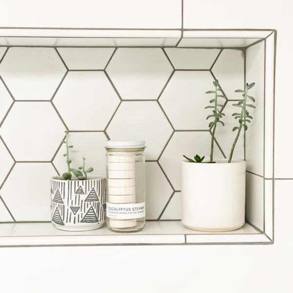 No Tox Life Eucalyptus Steam