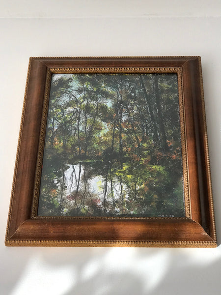 Reflections acrylic and framed by Steve Schiro