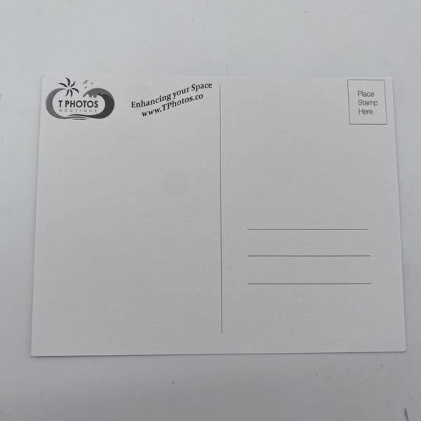 New Jersey Postcards