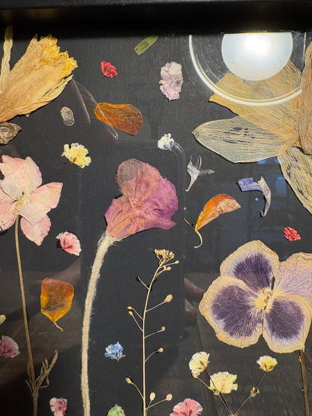 Framed Pressed Flowers