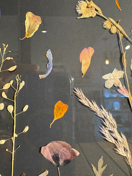 Framed Pressed Flowers