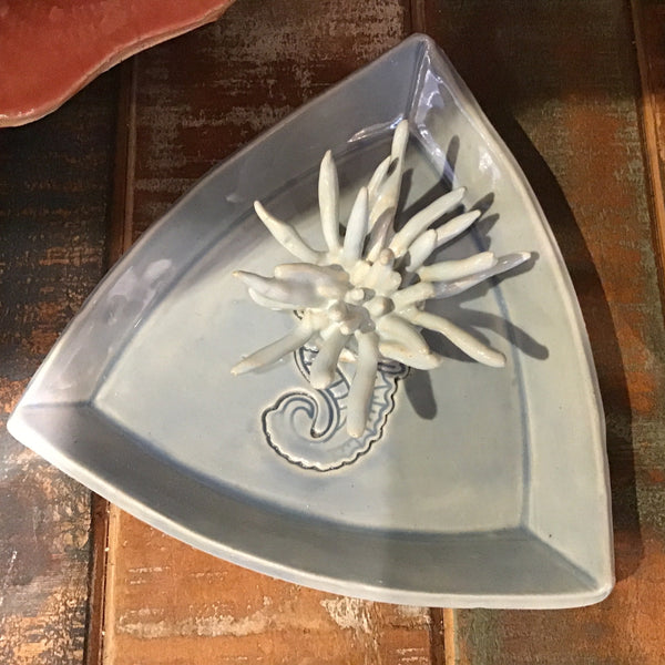 Sea anemone