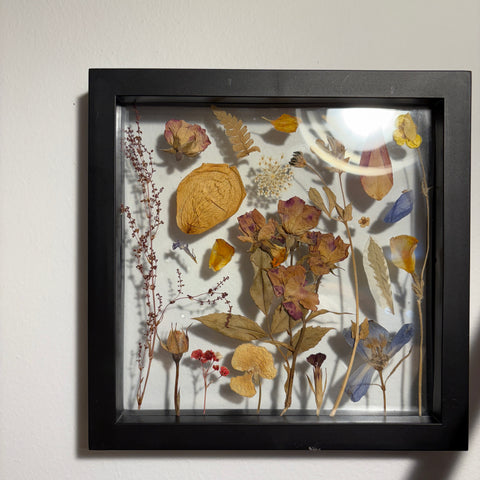Framed Pressed Flowers