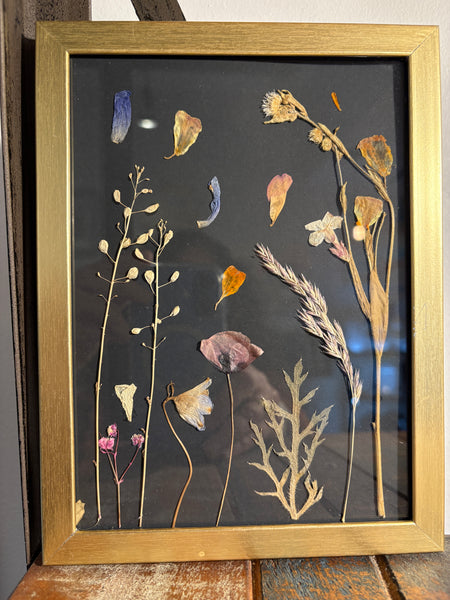 Framed Pressed Flowers