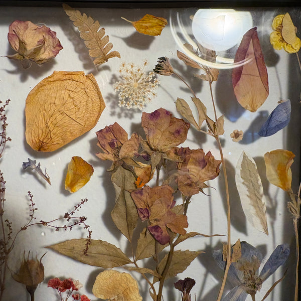 Framed Pressed Flowers