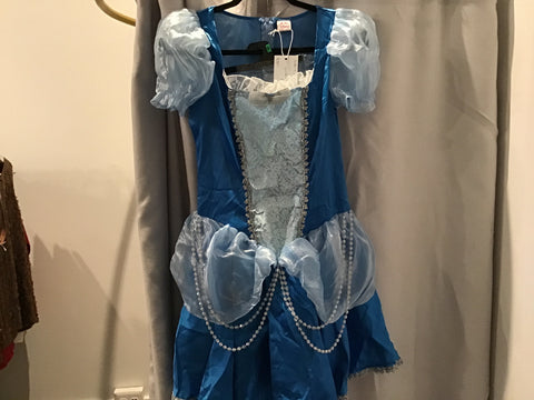 Cinderella costume