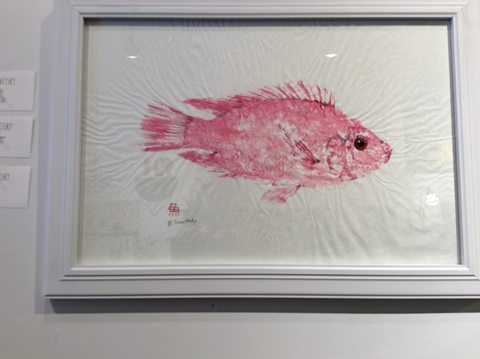 Original Pink Tilapia