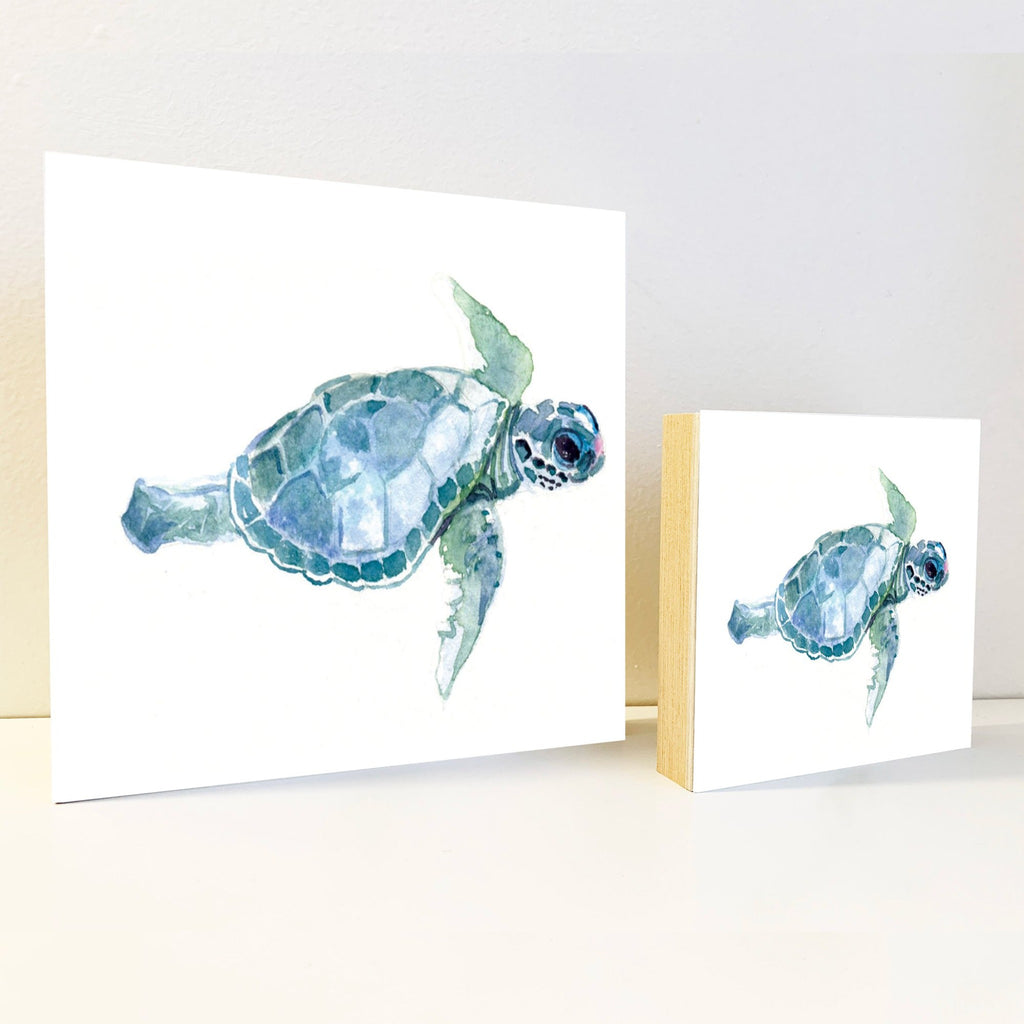 https://redbankartisancollective.com/cdn/shop/products/BabyTurtle-Both-blocks_1024x1024.jpg?v=1617320222