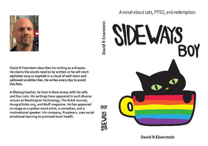 Sideways Boy by David Eisenstein