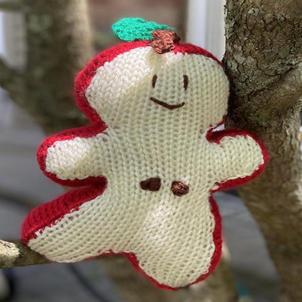 Apple yarn baby knitted by local nj artist