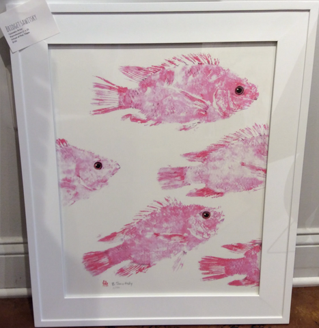 School of Pink Tilapia